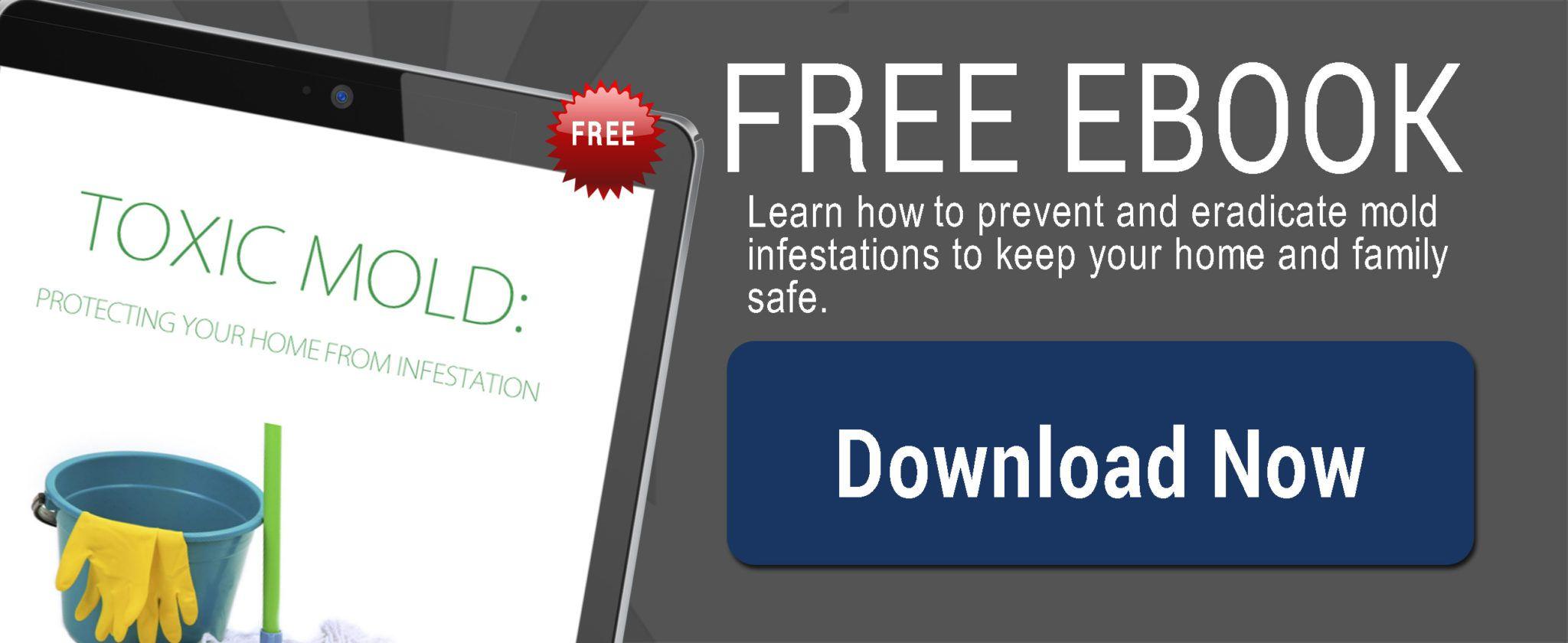 CTA-CC-Toxic-Mold-eBook
