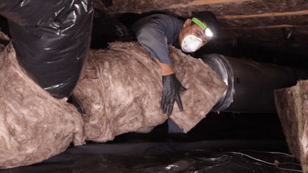 Port Townsend Crawl Space Insulation